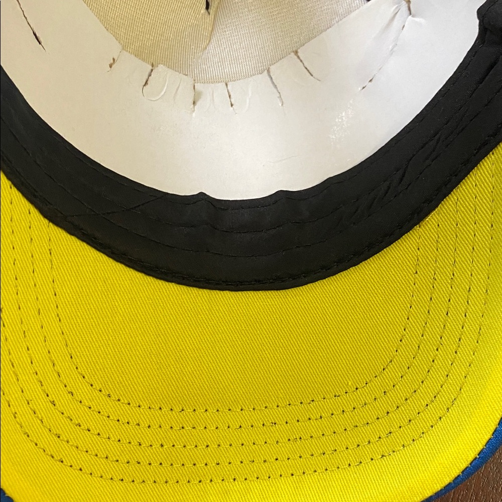 SESAME STREET Big Bird Hat Foam Adjustable Blue Black Mesh Adult OS - Picture 8 of 9